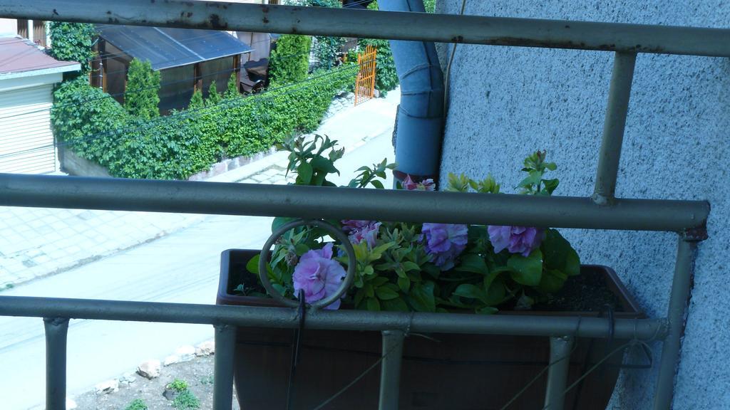 Geto Apartment Belogradchik Exterior photo